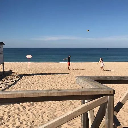 Pani Lourinha (Lisbon)